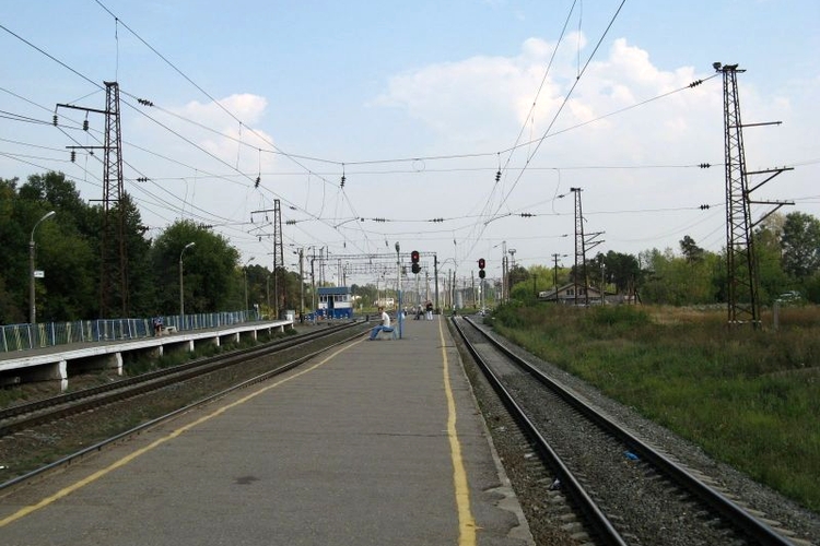 Станция «Доскино»