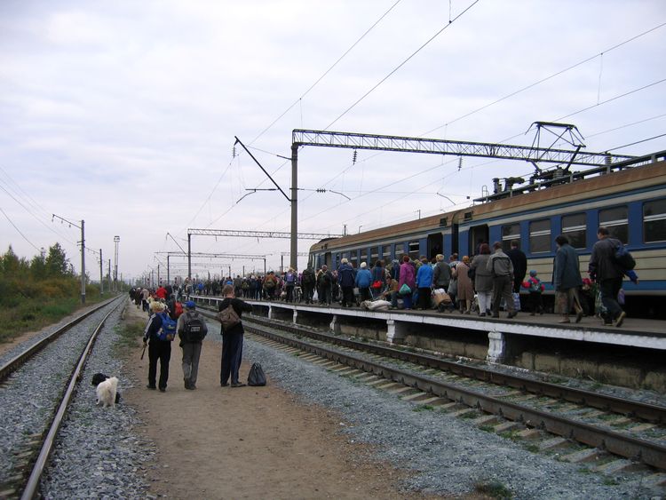 Станция Петряевка