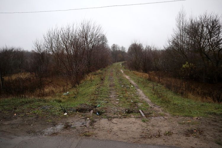 Остатки железной дороги Веселей - Разинская