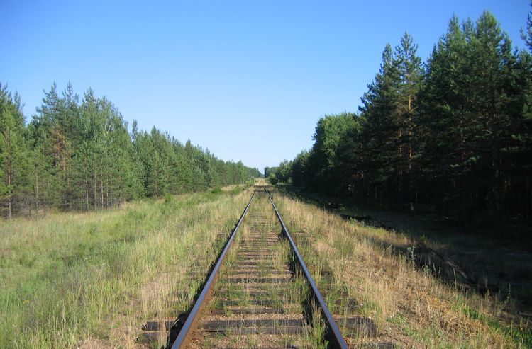 Железная дорога Ильино-Фролищи